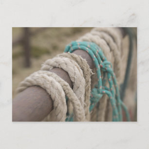 Tucson, Arizona: Ropes and hanrnesses used  on Postcard