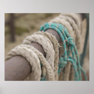 Tucson, Arizona: Ropes and hanrnesses used on Poster