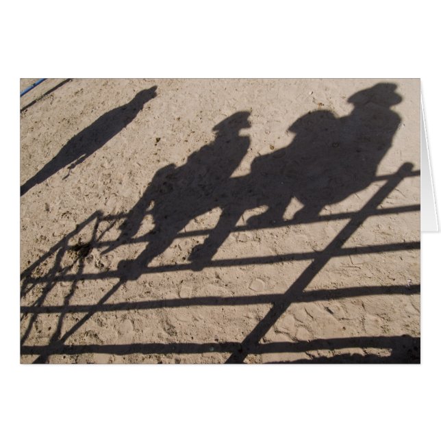 Tucson, Arizona: Shadows of Rodeo competitors (Front Horizontal)