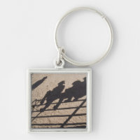 Tucson, Arizona: Shadows of Rodeo competitors