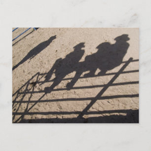 Tucson, Arizona: Shadows of Rodeo competitors Postcard