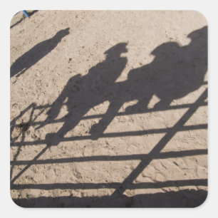 Tucson, Arizona: Shadows of Rodeo competitors Square Sticker