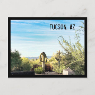 Tucson, Az Postcard