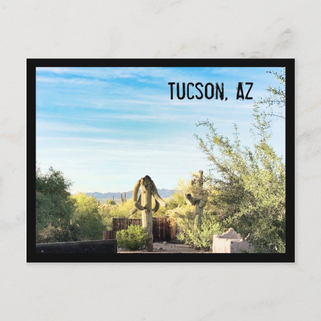 Tucson, Az Postcard (Front)