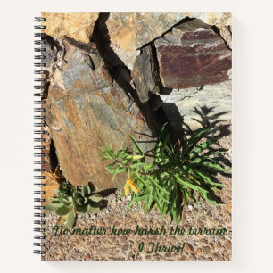 Tucson-Mt Lemmon Notebook