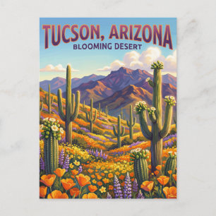 Tucson USA Postcard