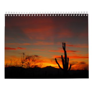 Tucson Weather 2017 Calendar