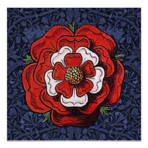 Tudor Rose Red and White Poster