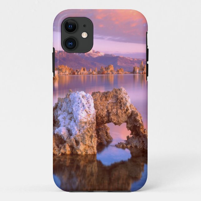 Tufa arch at Mono Lake Case-Mate iPhone Case (Back)