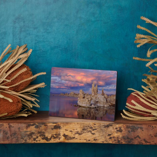 Tufa Formations on Mono Lake Plaque (Side)