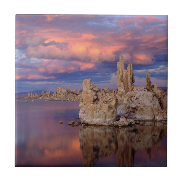 Tufa Formations on Mono Lake Tile (Front)