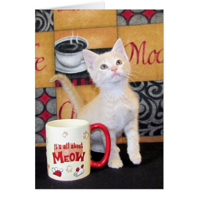 Tuffy McDuff's Mocha Dream (Front)