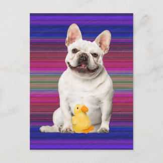 "Tuffy McTuggs" Postcard