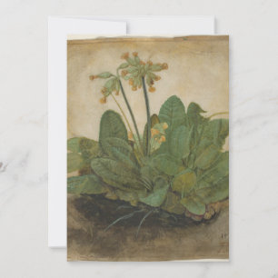 Tuft of Cowslips by Albrecht Durer