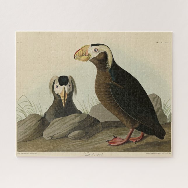 Tufted Auk (Puffin) - Audubon's Birds of America Jigsaw Puzzle (Horizontal)