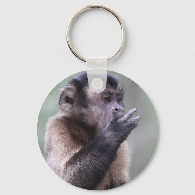 Tufted Capuchin Monkey Photo Key Ring (Front)