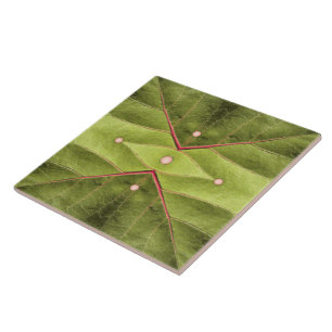 Tufted Olive Tapestry Ceramic Tile