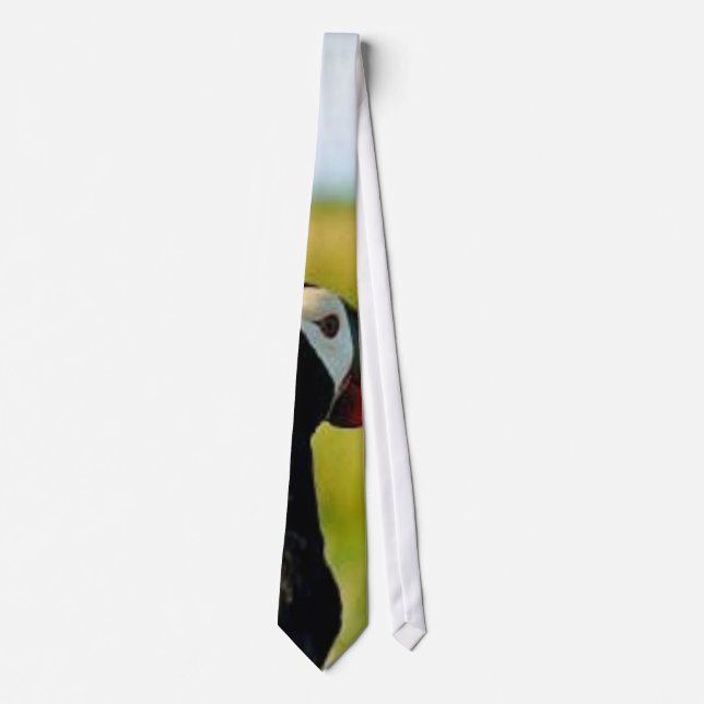 Tufted Puffin in Hand Tie (Front)