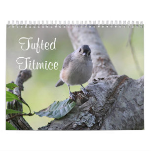 Tufted titmice calendar