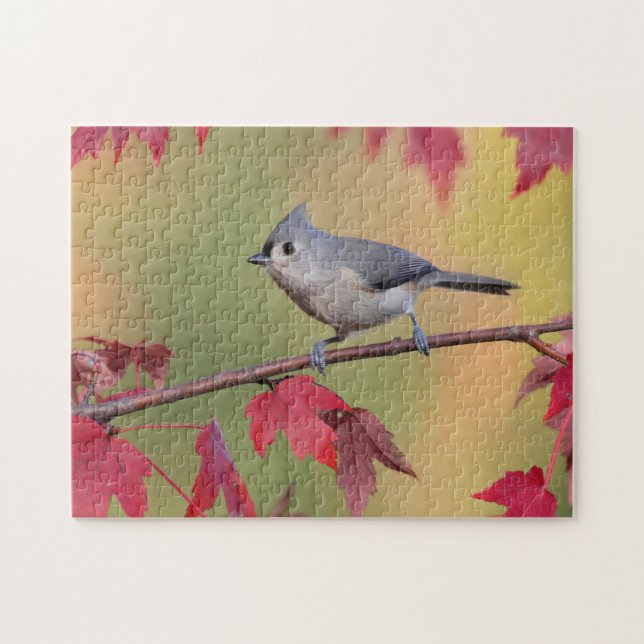 Tufted Titmice Jigsaw Puzzle (Horizontal)