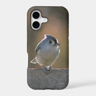 Tufted Titmouse