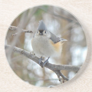 Tufted Titmouse (Baeolophus bicolor) Items Coaster
