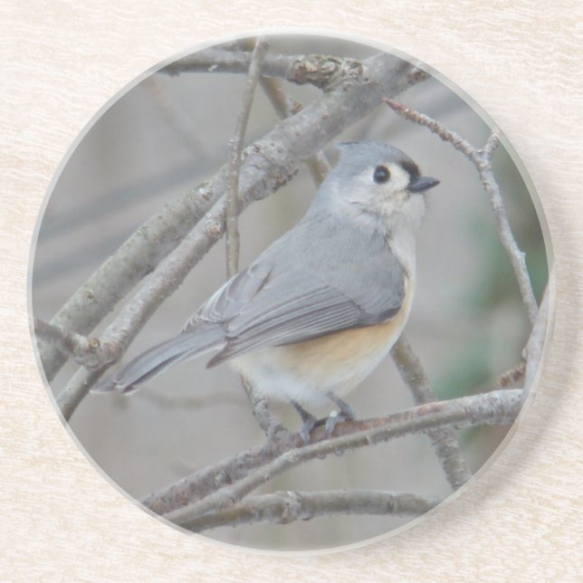 Tufted Titmouse (Baeolophus bicolor) Items Coaster (Front)