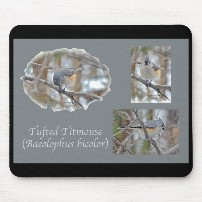 Tufted Titmouse (Baeolophus bicolor) Items Mouse Pad (Front)