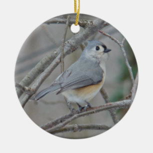 Tufted Titmouse (Baeolophus bicolor) Ornament