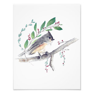 Tufted Titmouse Bird Art Photo Print