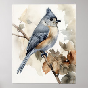 Tufted Titmouse Bird Art Print Poster