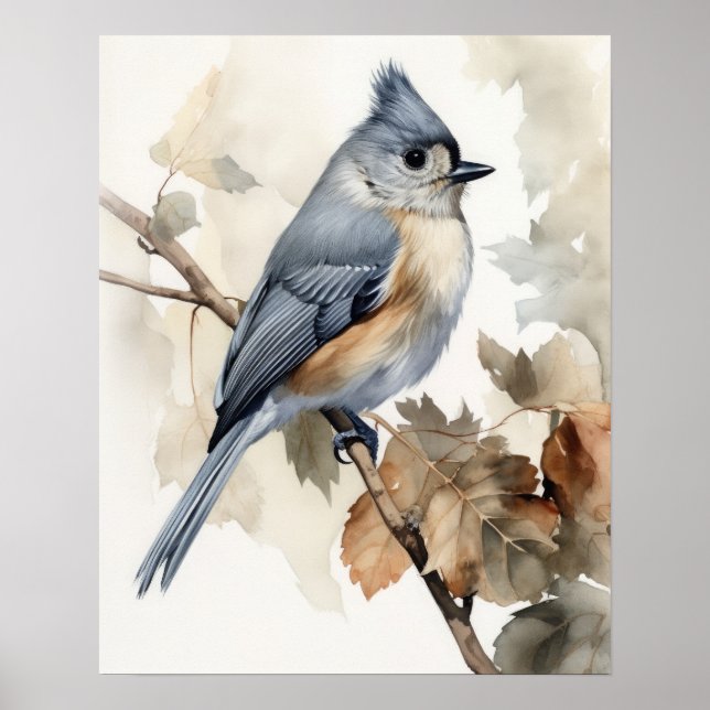 Tufted Titmouse Bird Art Print Poster (Front)