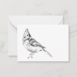 Tufted Titmouse Blank Note Card