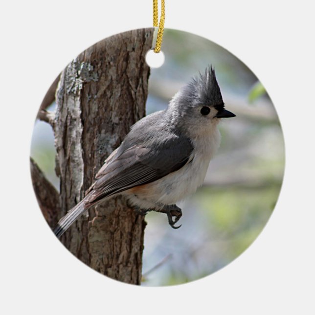 Tufted titmouse ceramic ornament (Front)