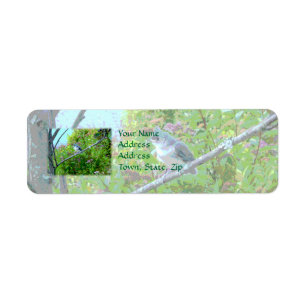 Tufted Titmouse Fledgling Baby Bird Return Address Label