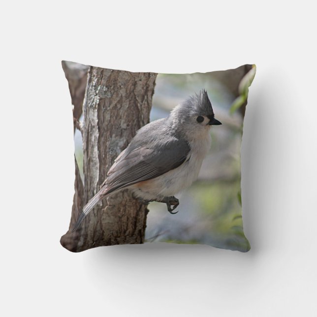 Tufted titmouse in spring cushion (Front)