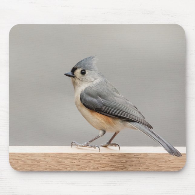 Tufted Titmouse Mouse Pad (Front)