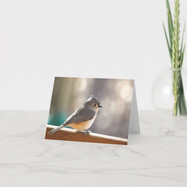Tufted Titmouse Notecard - Blank Inside (Front)