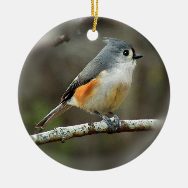Tufted Titmouse Ornament (Front)