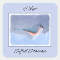 Tufted Titmouse Painting - Original Bird Art