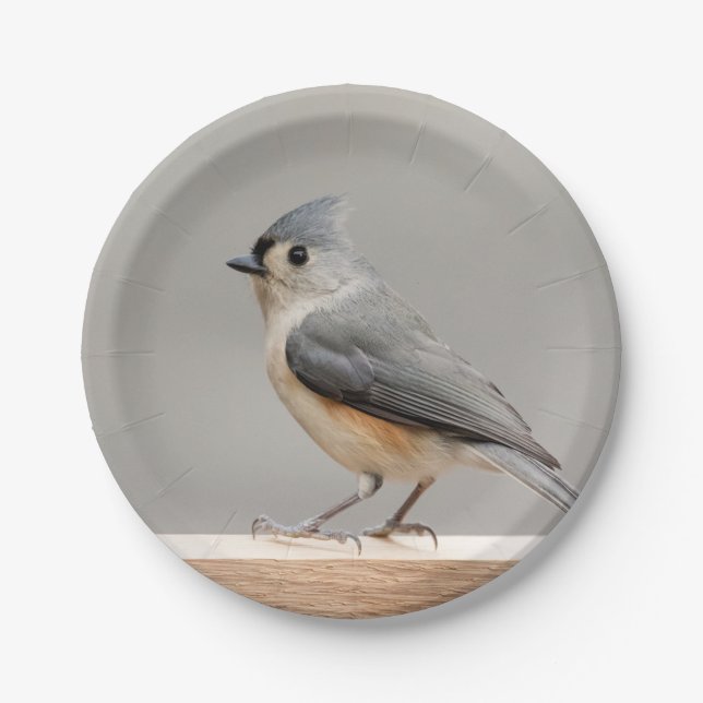 Tufted Titmouse Paper Plate (Front)