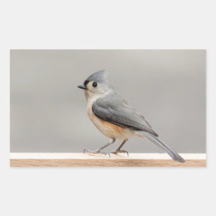 Tufted Titmouse Rectangular Sticker