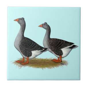 Tufted Toulouse Geese Tile