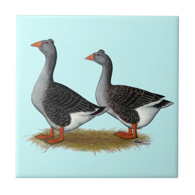 Tufted Toulouse Geese Tile (Front)