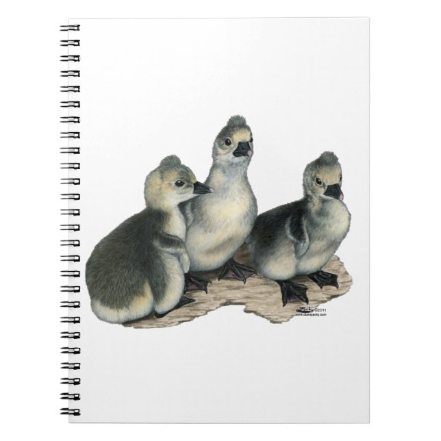 Tufted Toulouse Goslings Notebook (Front)