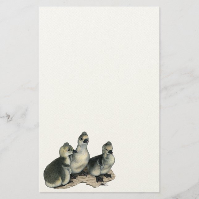 Tufted Toulouse Goslings Stationery (Front)