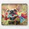 Tug o War Chihuahua