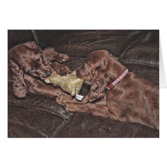 Tug Of War (Front Horizontal)