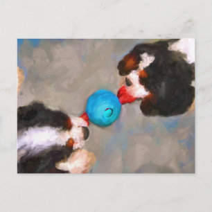 Tug of War Cavalier KC Spaniels Postcard