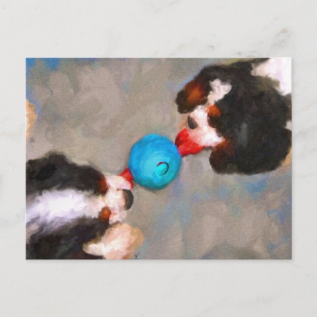 Tug of War Cavalier KC Spaniels Postcard (Front)